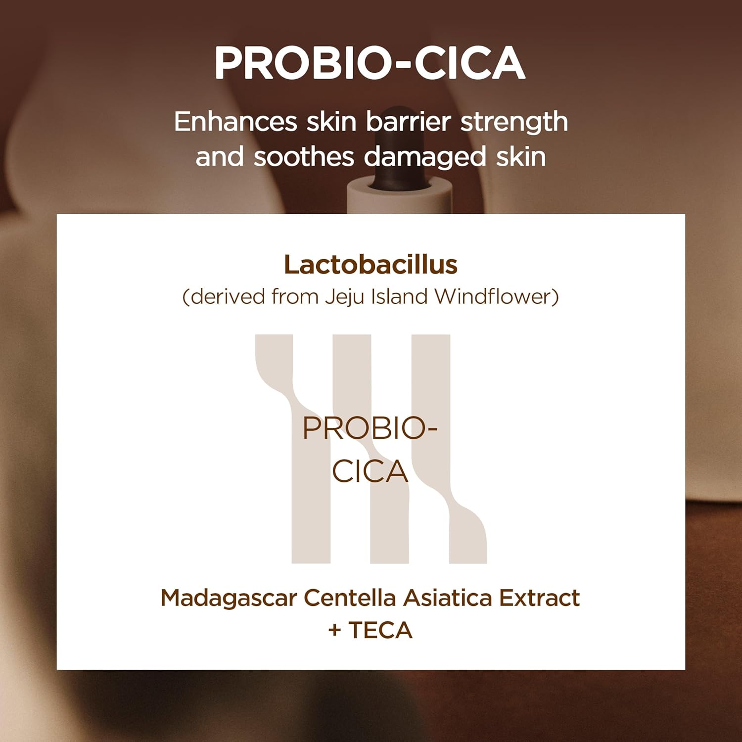SKIN1004 - Madagascar Centella Probio-Cica Intensive Ampoule Jumbo