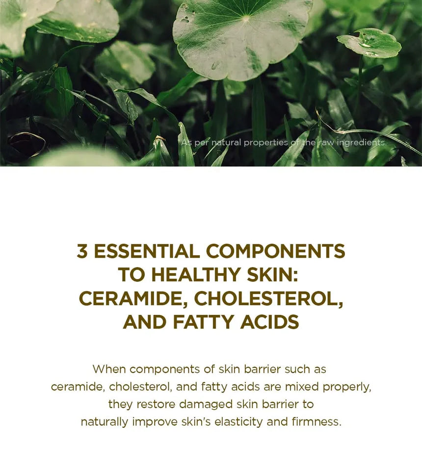SKIN1004 - Madagascar Centella Soothing Cream - Mini (30ml)